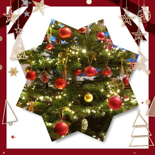 Stern zeigt Christbaumausschnitt