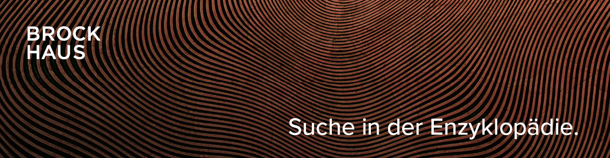 Banner Suche in der Brockhaus Enzyklop&auml;die