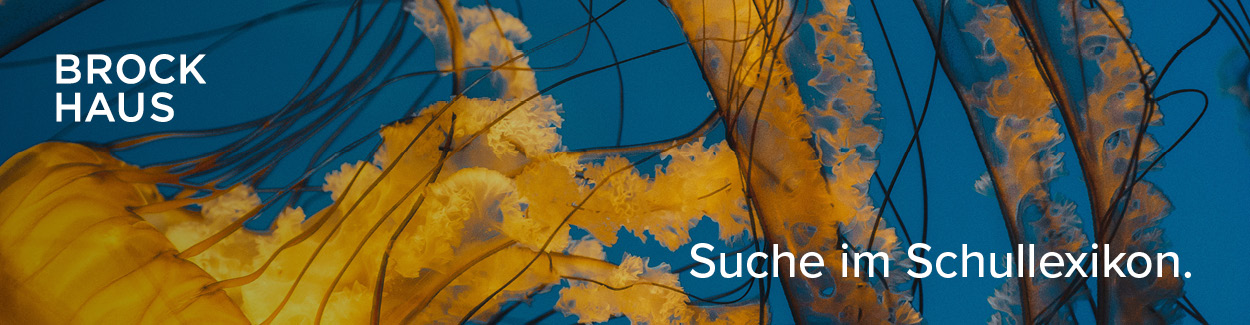 Banner Suche im Brockhaus Schullexikon